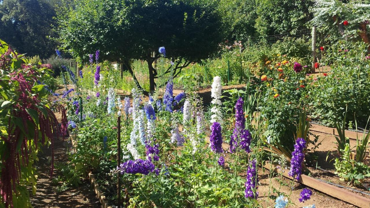 Madrona Manor Ξενοδοχείο Healdsburg Εξωτερικό φωτογραφία