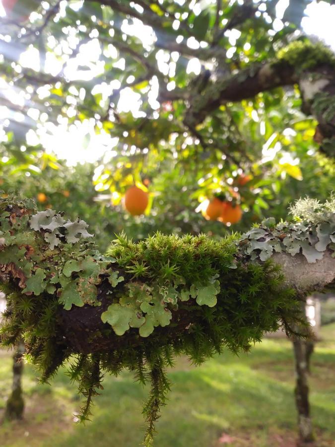 Madrona Manor Ξενοδοχείο Healdsburg Εξωτερικό φωτογραφία