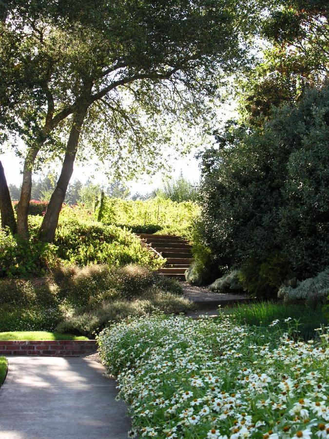 Madrona Manor Ξενοδοχείο Healdsburg Εξωτερικό φωτογραφία