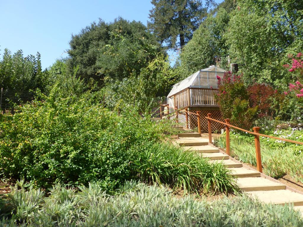 Madrona Manor Ξενοδοχείο Healdsburg Εξωτερικό φωτογραφία