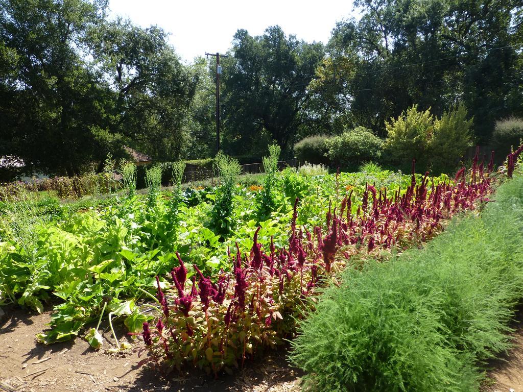 Madrona Manor Ξενοδοχείο Healdsburg Εξωτερικό φωτογραφία